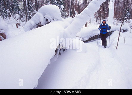 Ein Schneeschuhwanderer Wanderungen durch Neuschnee auf einem Winterwanderweg in dargestellter Felsen-Staatsangehöriger Lakeshore in der Nähe von Munising Mich Stockfoto