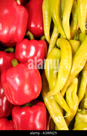 Rote und gelbe Paprika Stockfoto