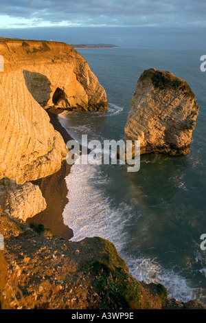 Meer stack Freshwater Bay Isle of Wight England Großbritannien Stockfoto