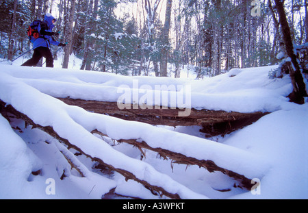 EIN SCHNEESCHUHWANDERER WANDERUNGEN DURCH FRISCHEN PULVERSCHNEE ÜBER EINE KLEINE BRÜCKE IN DIE ROCK-RIVER-CANYON WILDERNESS AREA IN DER NÄHE EBEN MICHIGAN Stockfoto