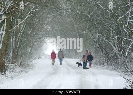 Schneebedeckte Landstraße mit Blick auf die Rückseite, Erwachsene Paare, Spaziergänge und Familie mit Blick auf die Vorderseite mit Kindern, die unter dem Tunnel der Winterbäume einen Hund trainieren, England Großbritannien Stockfoto