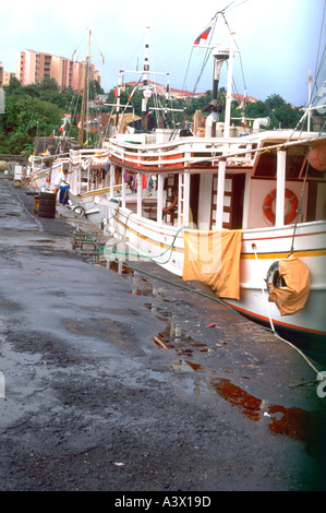 Hausboote im Hafen Hafen festgemacht. Karibik Martinique Insel West Indies Stockfoto