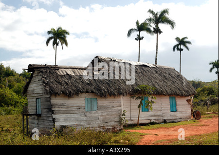 Eine traditionelle rustikale Holzhaus im Vinales Tal, Pinar del Rio Province, Kuba, West Indies. Stockfoto