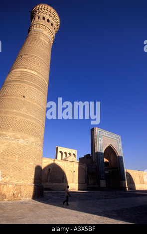 Kalon Minarett und Moschee Buchara Usbekistan Stockfoto