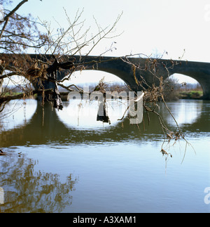 Kunststoff schwarz gefangen hängen in einem Baum in der Nähe einer Brücke über den Fluss Towy Landschaft in der Nähe von Peebles Carmarthenshire Wales UK KATHY DEWITT Stockfoto