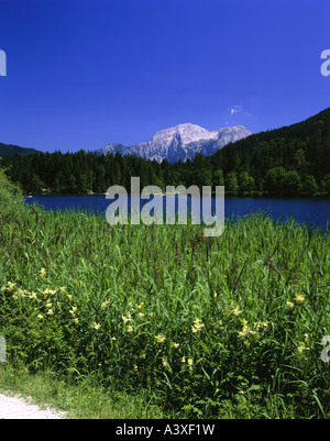 Geographie / Reisen, Deutschland, Bayern, Ramsau bei Berchtesgaden, Blick, integrale Natur reserve, Hintersee und Hoher Göll, Europa, Stockfoto