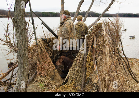 Zwei tarnen Ente Gans Jäger stehen In getarnten blinden während Chocolate Labrador Retriever, von der Seite schaut Stockfoto