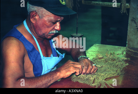 Partagas Zigarrenfabrik in Havanna Kuba Stockfoto