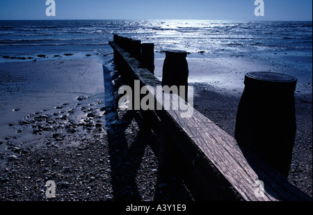 Hölzerne Leiste am Kiesstrand in Worthing, Sussex, England Stockfoto