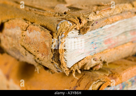 Alten Buchführung Volumes Stockfoto