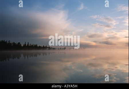 nebelige Landschaft in Lappland, Schweden, Lappland, Jelka Naturreservat Stockfoto
