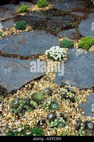 Schiefer-Pflaster, Platten, Kies, Aeonium und Alpines in einem London-Garten Stockfoto