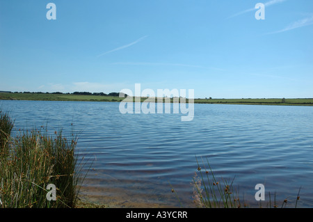 Dozmary Pool Bodmin Moor. Stockfoto