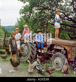 Kinder Kinder im Urlaub spielen ein Spiel auf alten Massey Ferguson Traktor mit Hühnern Enten in ländlichen Garten in Carmarthenshire, Wales UK KATHY DEWITT Stockfoto