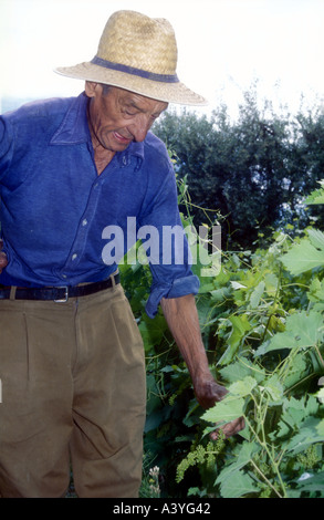 Weingut Mann aus Maipu im Westen Argentiniens Stockfoto