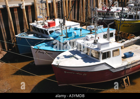 Der Bogen Ende drei Hummer und Angelboote/Fischerboote sitzen im Schlamm bei Ebbe an Alma New Brunswick auf die Bay Of Fundy Stockfoto