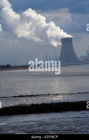 Kernkraftwerk in Doel, Belgien. Der Schelde; Schelde; Schelde-Mündung in den Vordergrund. Dramatischer Himmel mit Dampf. Stockfoto