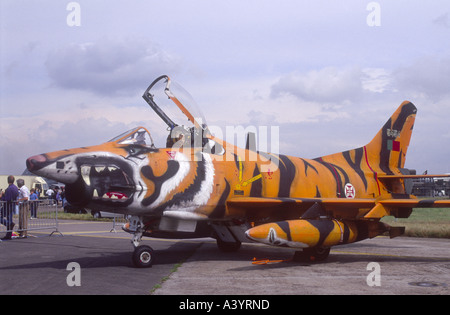 Aeritalia Fiat G.91R einsitziges Jagdflugzeug.   GAV 2253-229 Stockfoto