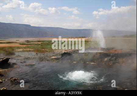 heiße Quellen und Geysire in Lake Bogoria, Kenia, Kenya, Lake Bogoria Stockfoto