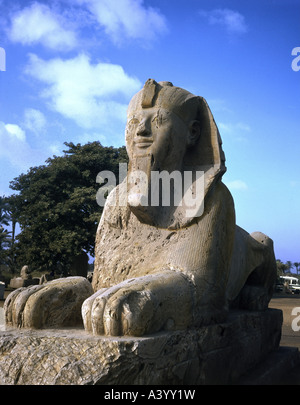 Reise/Geographie, Ägypten, Memphis-Inseln, Denkmäler, Sphinx, ursprünglich am Eingang des Ptah-Tempels, ca. 1400 v. Chr., historisch, historisch, Afrika, Architektur, alte Welt, Neues Königreich, 18. Dynastie, 15./14. Jahrhundert v. Chr., Skulpturen, Skulpturen, alte Welt, Stockfoto