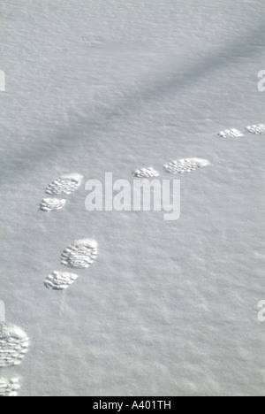 Eine Person s Fußspuren im frisch gefallenen Schnee befindet sich in einem neu-England-Wald in New Hampshire USA Stockfoto