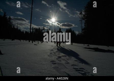 Eine Person s Fußspuren im frisch gefallenen Schnee befindet sich in einem neu-England-Wald in New Hampshire USA Stockfoto