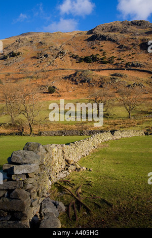 Lakeland Felder und Fells, Lake District, Cumbria, England, UK. Stockfoto