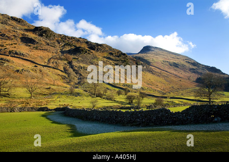 Lakeland Fields and Fells, Lake District, Cumbria, England, UK. Stockfoto