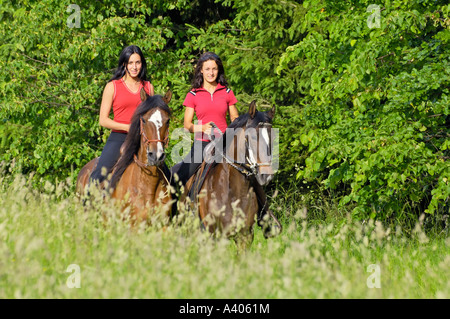 Zwei junge Damen auf Paso Fino Pferde Reiten Stockfoto