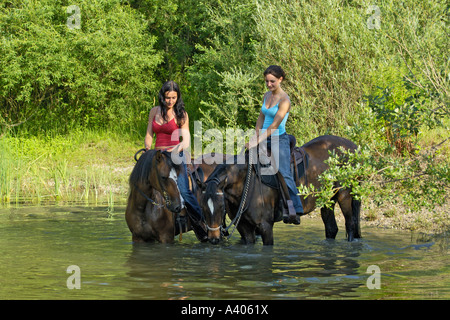 Zwei junge Fahrer auf Paso Fino Pferde in einem Teich Stockfoto