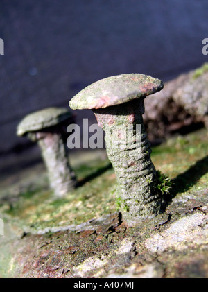 Verrostete Trainer Schrauben Stockfoto