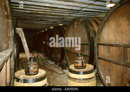 FRANKREICH BURGUND POMMARD HOLZFÄSSER IM WEINKELLER DES WEINGUTS CHATEAU DE POMMARD, EUROPA Stockfoto