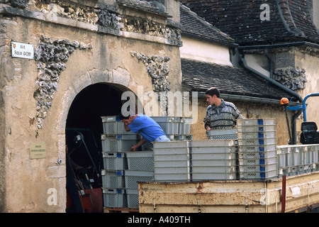 FRANKREICH BURGUND SAVIGNY-LES-BEAUNE ZWEI MÄNNER LADEN KISTEN AN TRAUBE ERNTEZEIT Stockfoto