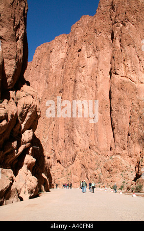 Todra Schlucht in der Nähe von Tinghir, Marokko, Nordwest-Afrika Stockfoto