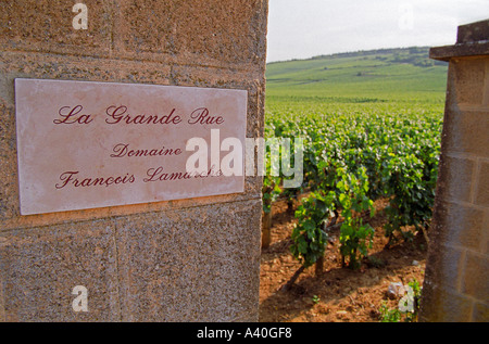 La Grande Rue Domaine Francois Lamarche, eingeschrieben auf eine Steinsäule im Grand Cru Weinberg, Vosne-Romanée, Bourgogne Stockfoto