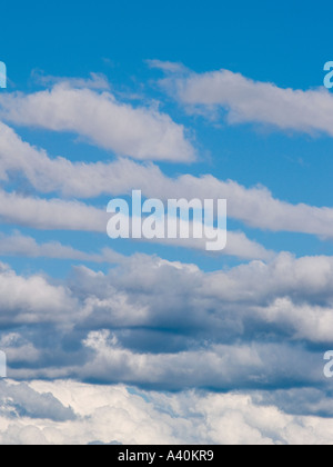 Weißen flauschigen Cumulus-Wolken sammeln in einem blauen Sommerhimmel Stockfoto