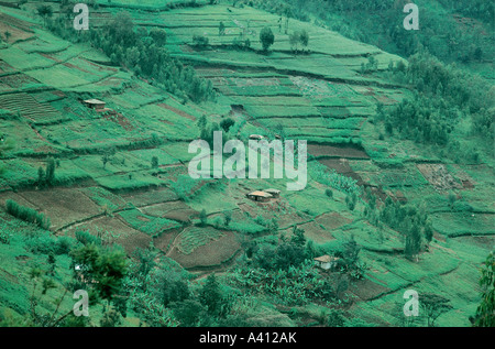 Häuser und terrassenförmig angelegten Höfe Klammern sich an schroffen Berghängen in nördlichen Ruanda Stockfoto