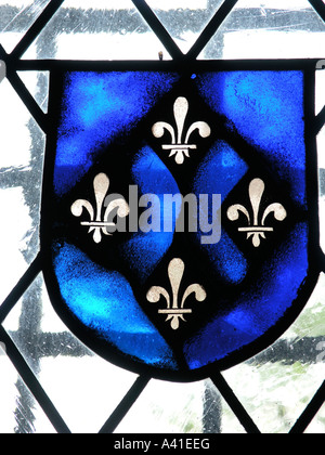 Glasmalerei Fleur de Lis Symbol in einem alten Schloss Stockfoto