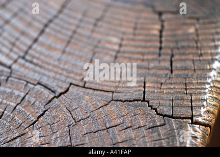 Holzstruktur Stockfoto