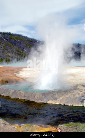 Die kleine Cliff Geyser neben Iron Creek im Black Sand Becken des Yellowstone Nationalpark Wyoming USA Stockfoto