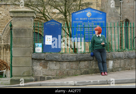 Chepstow Südwales GB UK 2007 Stockfoto
