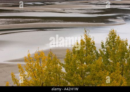 Muster in Medicine Lake Niedrigwasser Zeitraum, Jasper Nationalpark, Alberta, Kanada Stockfoto