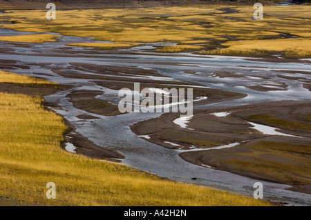 Muster in Medicine Lake Niedrigwasser Zeitraum, Jasper Nationalpark, Alberta, Kanada Stockfoto