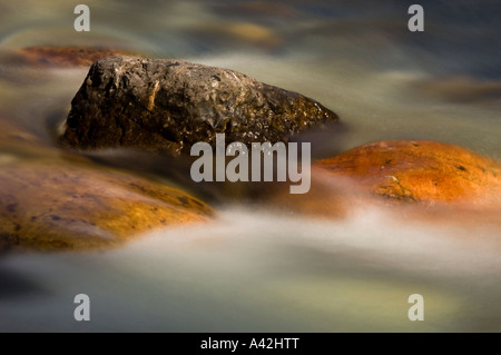 Felsbrocken und rauschenden Wasser im Mosquito Creek, Banff Nationalpark, Alberta, Kanada Stockfoto