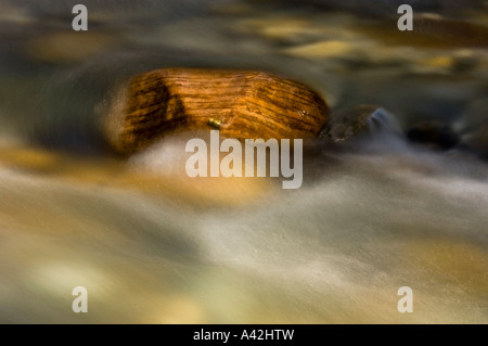 Felsbrocken und rauschenden Wasser im Mosquito Creek, Banff Nationalpark, Alberta, Kanada Stockfoto