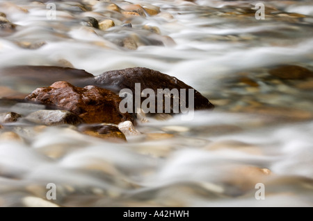 Felsbrocken und rauschenden Wasser im Mosquito Creek, Banff Nationalpark, Alberta, Kanada Stockfoto