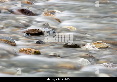 Felsbrocken und rauschenden Wasser im Mosquito Creek, Banff Nationalpark, Alberta, Kanada Stockfoto