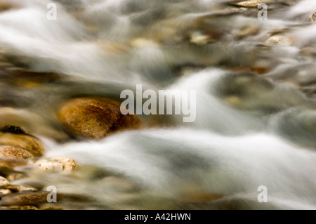 Felsbrocken und rauschenden Wasser im Mosquito Creek, Banff Nationalpark, Alberta, Kanada Stockfoto