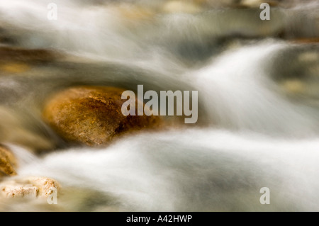 Felsbrocken und rauschenden Wasser im Mosquito Creek, Banff Nationalpark, Alberta, Kanada Stockfoto