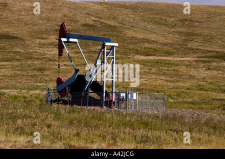 Ölpumpe in Weideland, Longview, Alberta, Kanada Stockfoto